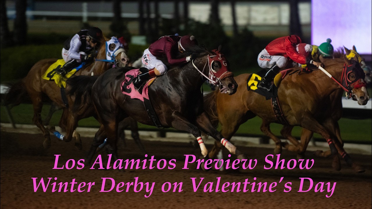 Preview Show - Winter Derby Final on Valentine's Day