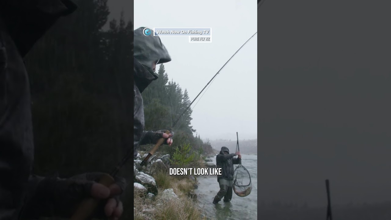 GIANT MUTANT TROUT caught in New Zealand! - &lsquo;Pure Fly NZ&rsquo; on FishingTV