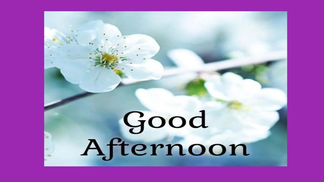 good afternoon my frinds🍛🍜