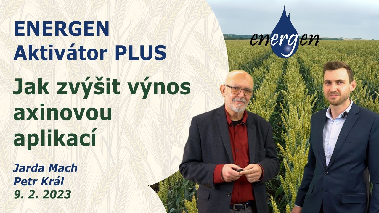 Jak bezpečně použít auxiny na konci růstu obilnin. ENERGEN Aktivátor PLUS | Petr Král a Jarda Mach