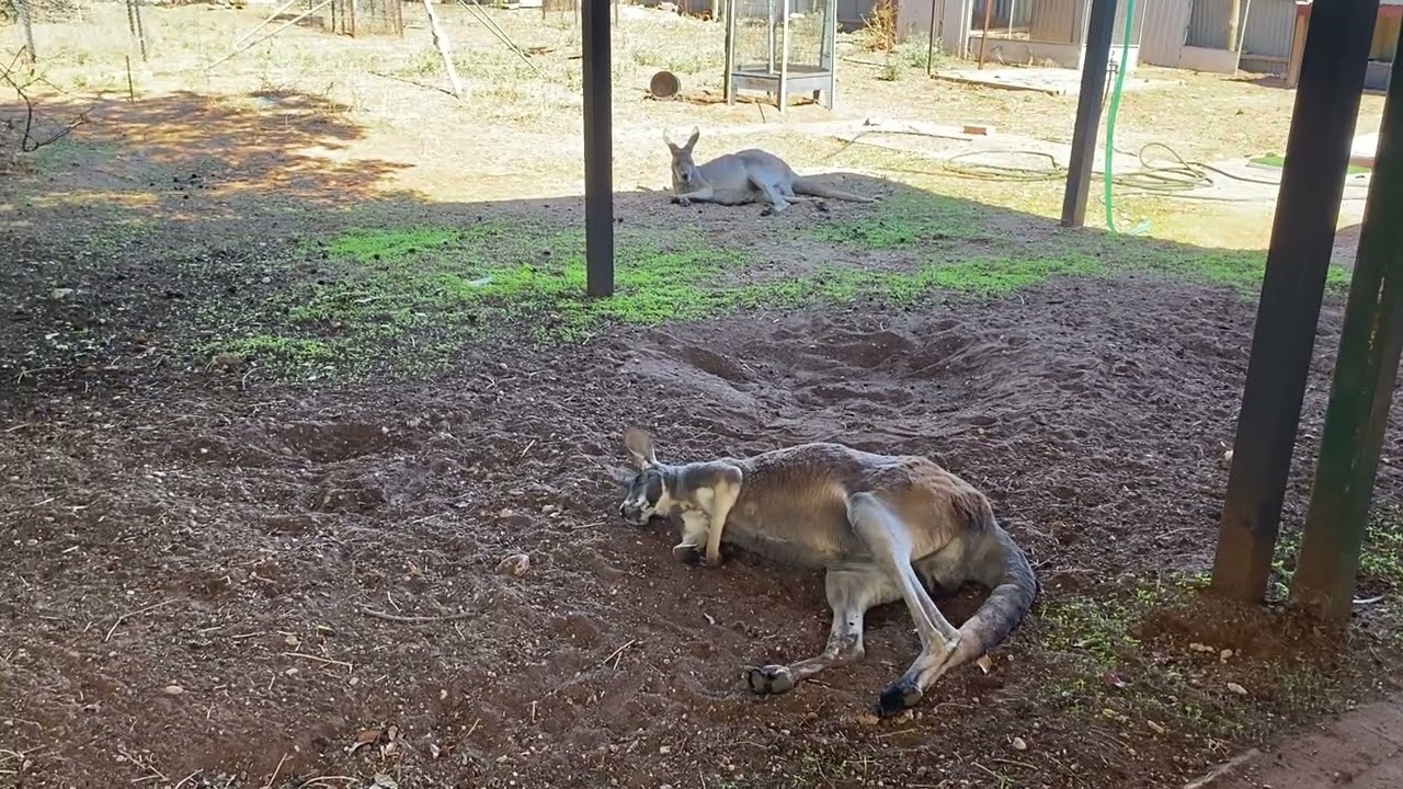 G’day from SA