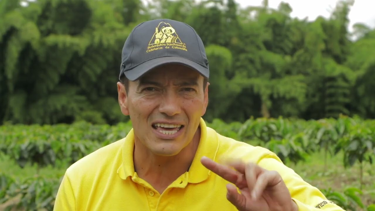 Las Aventuras del Profesor Yarumo -  Sembrando, nutriendo y cosechando