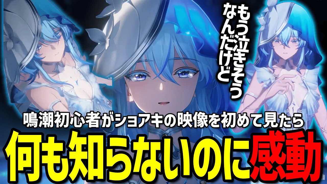 【鳴潮】元原神民がショアキーパーの映像見たら何も知らないのに泣いちゃったｗ【三年間ほぼ毎日プレイした元原神民がやる鳴潮】