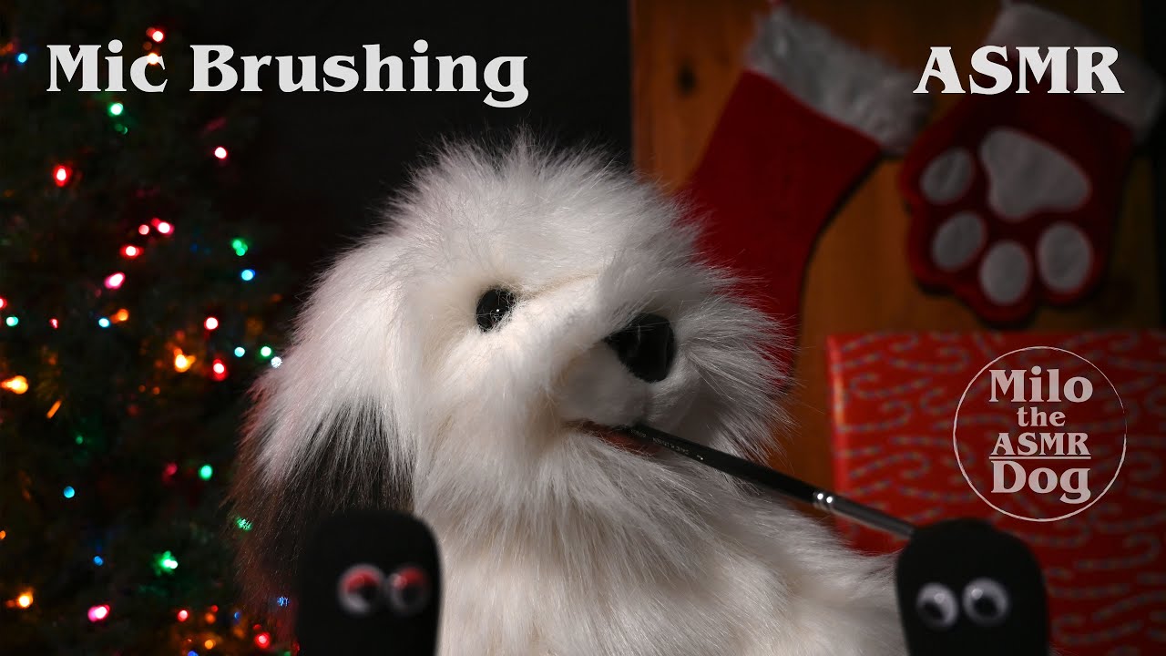 ASMR Holiday Mic Brushing for Sleep and Study (No Talking)