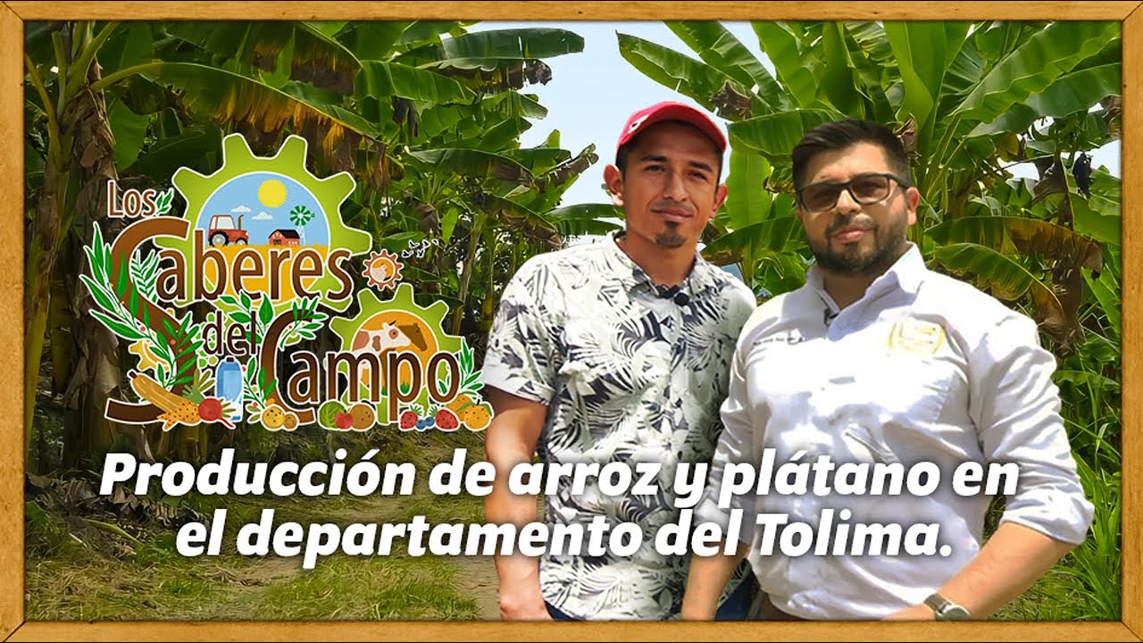 Saberes del campo 