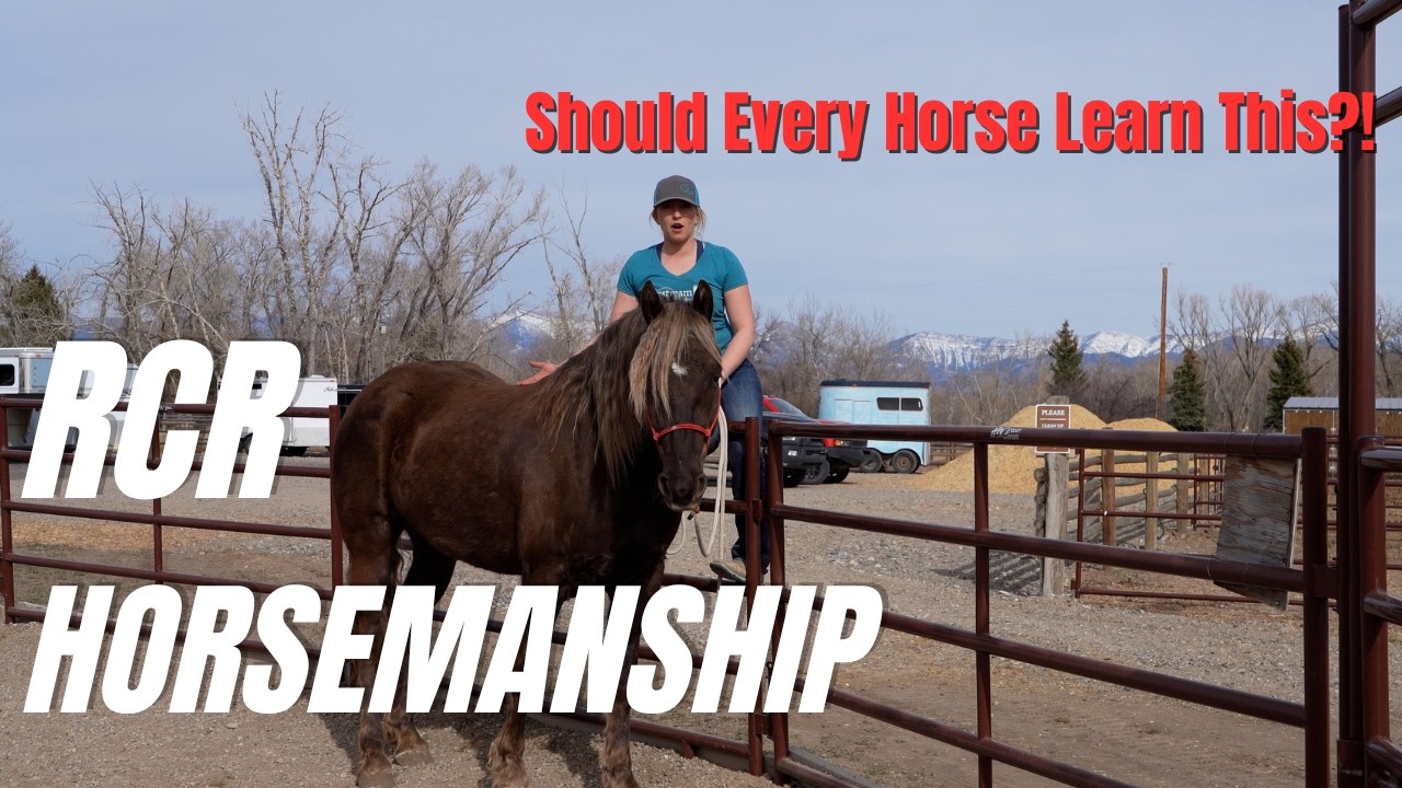 How to Teach Your Horse to Park at the Fence for Mounting