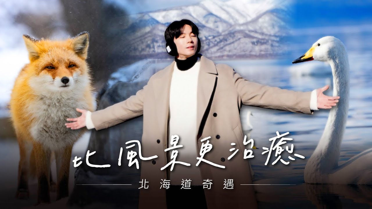 看了很療癒與雪地守護神的際遇，北海道釧路｜屈斜路湖｜鶴見台｜狐狸村｜支笏湖