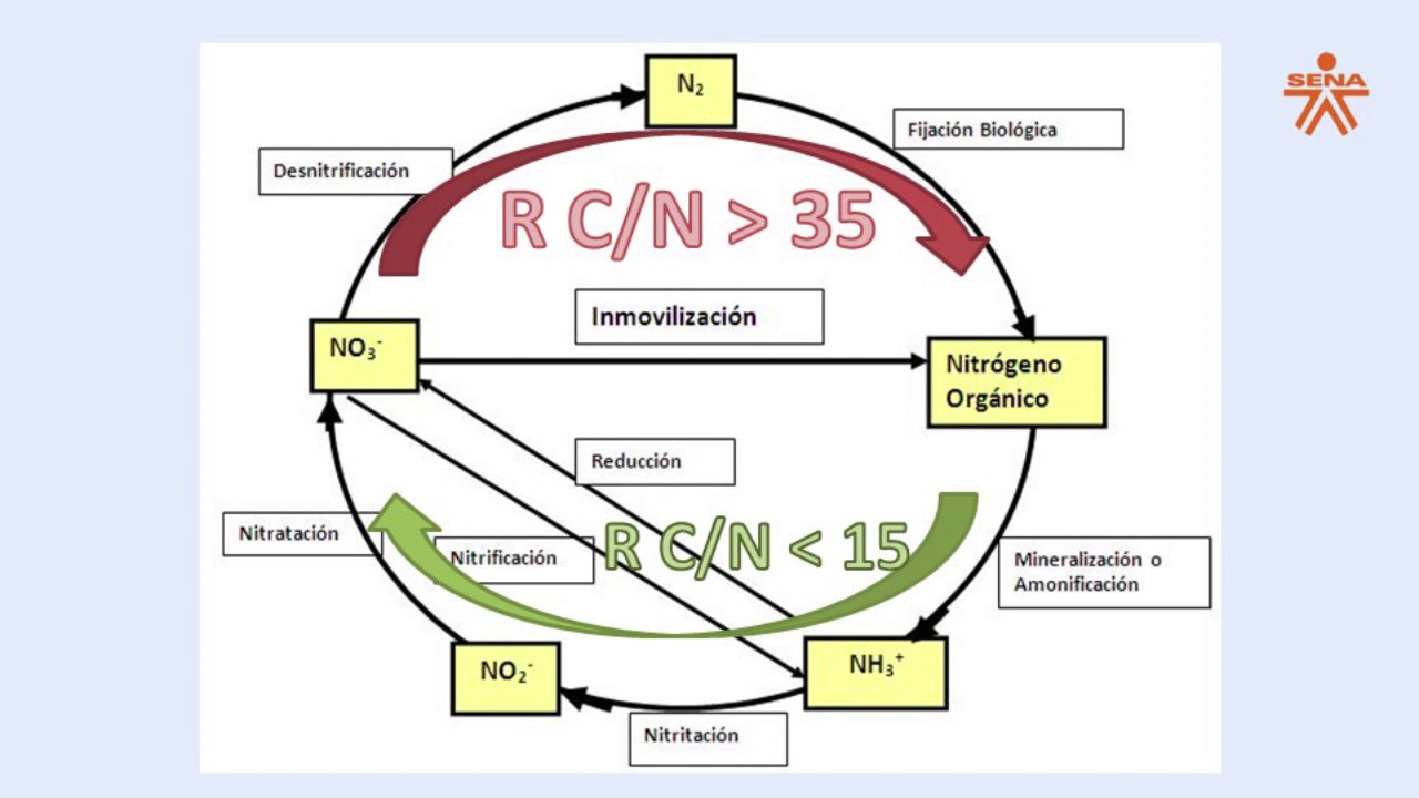 Relación de Carbono Nitrógeno en abonos organicos