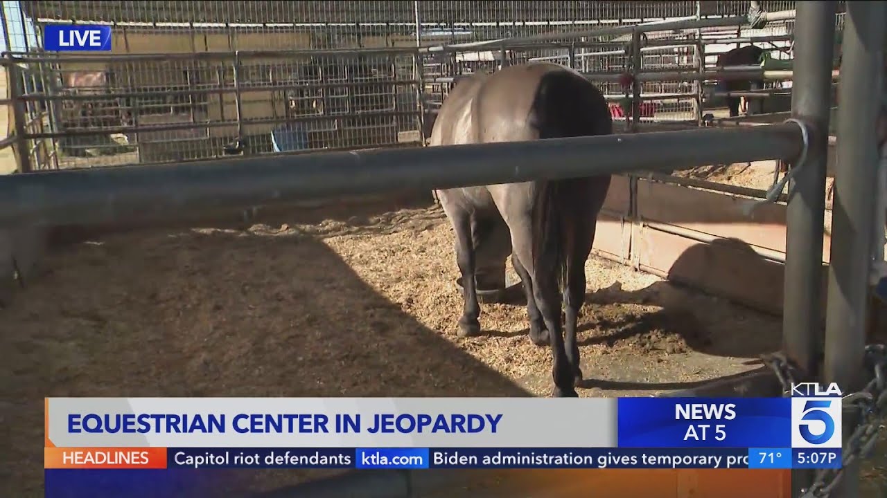 Lakewood Equestrian Center in jeopardy of closing