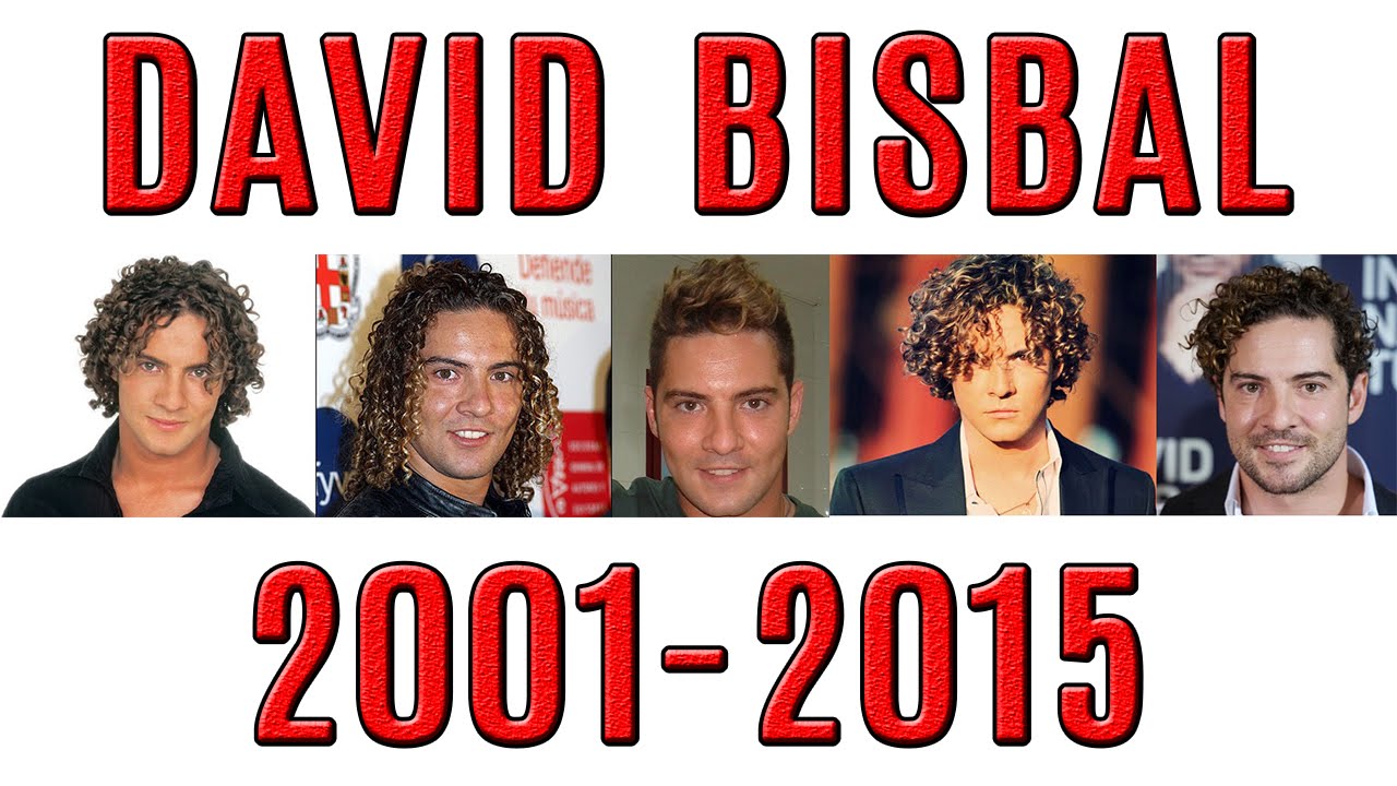 David Bisbal - Su historia (2001-2015)