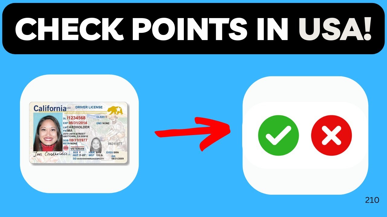 How to Check Points on Your US License In Less Than 20 Seconds! (STEP-BY-STEP)