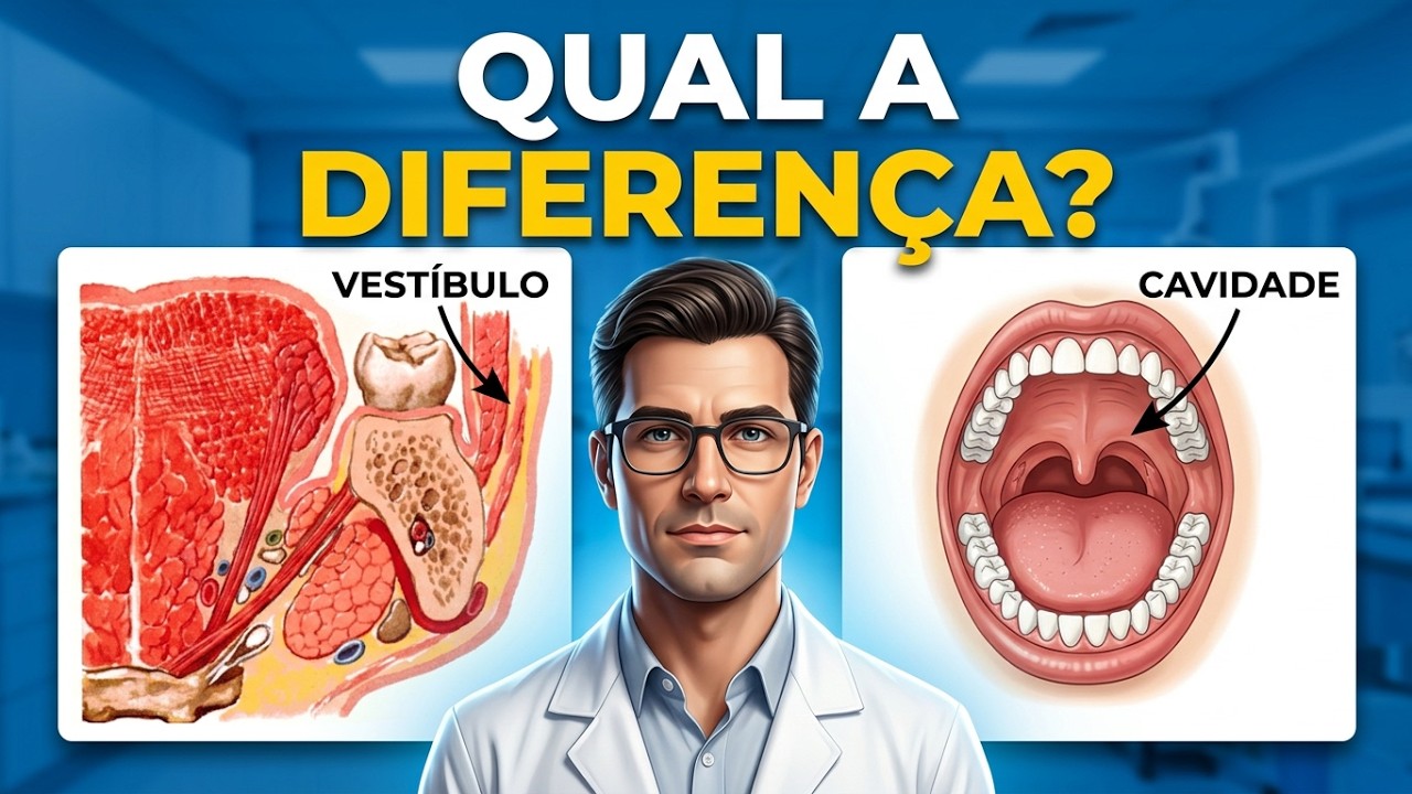 ANATOMIA DA CAVIDADE ORAL E VESTÍBULO DA BOCA #medicina #medico #anatomy #anatomia