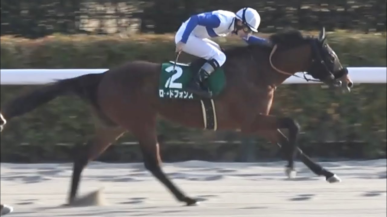 【現地】2026 G3 根岸ステークス ロードフォンス 横山 和生【東京競馬場】