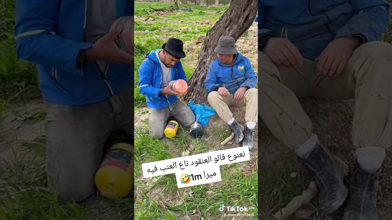 15 فيفري 2026