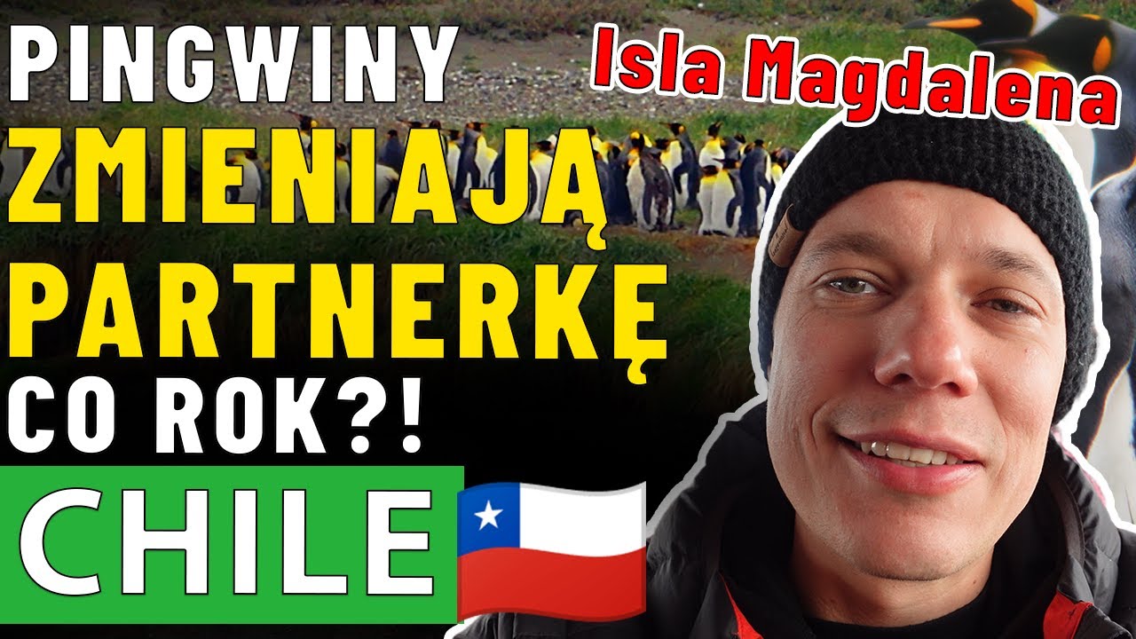 Rejs na wyspę PINGWINÓW! Patagonia - Isla Magdalena