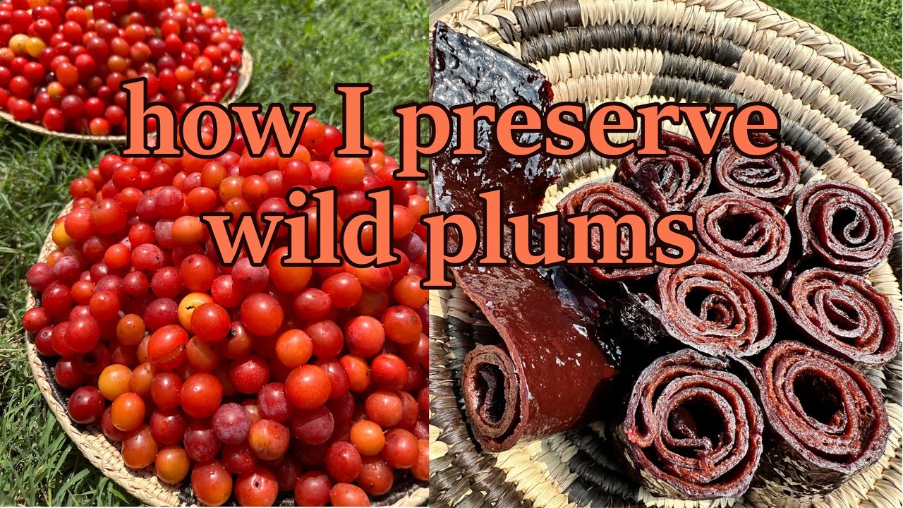 Wild plum jam & fruit leather.