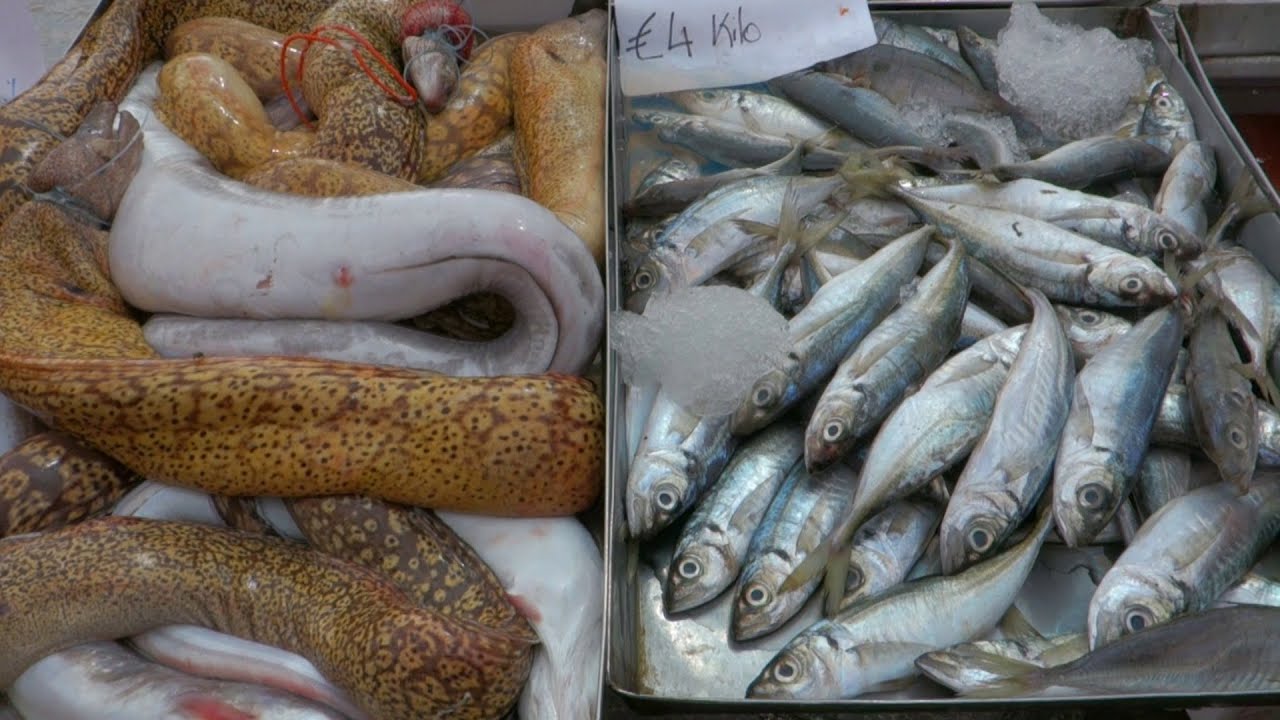 Marsaxlokk - Life in a Maltese Fishing Village