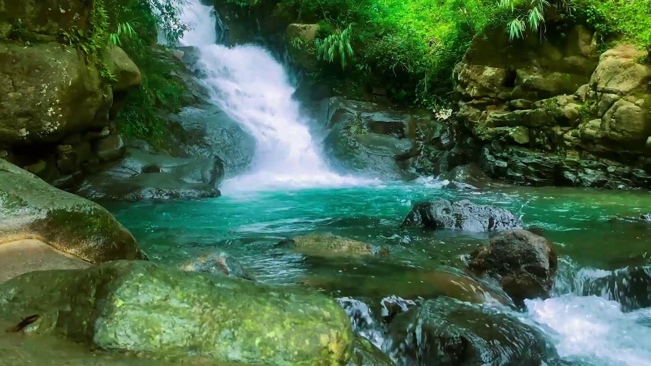 САМЫЙ ГИПНОТИЧЕСКИЙ ЗВУК ВОДЫ 💦 Дикая река в глубине тропического леса