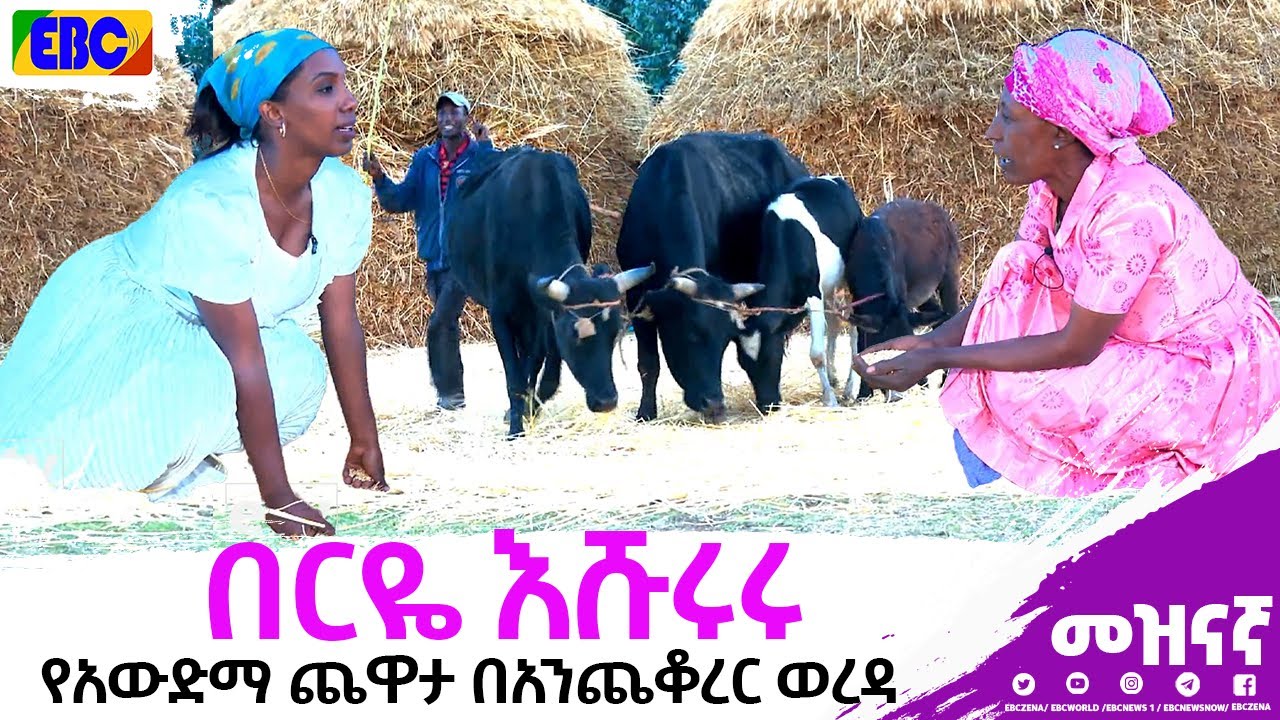 ዉሎ አዳር | wulo adar - በርዬ እሹሩሩ - የአውድማ ጨዋታ በአንጨቆረር ወረዳ