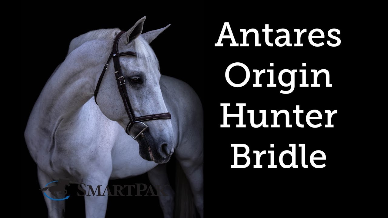Antares Origin Hunter Bridle Review
