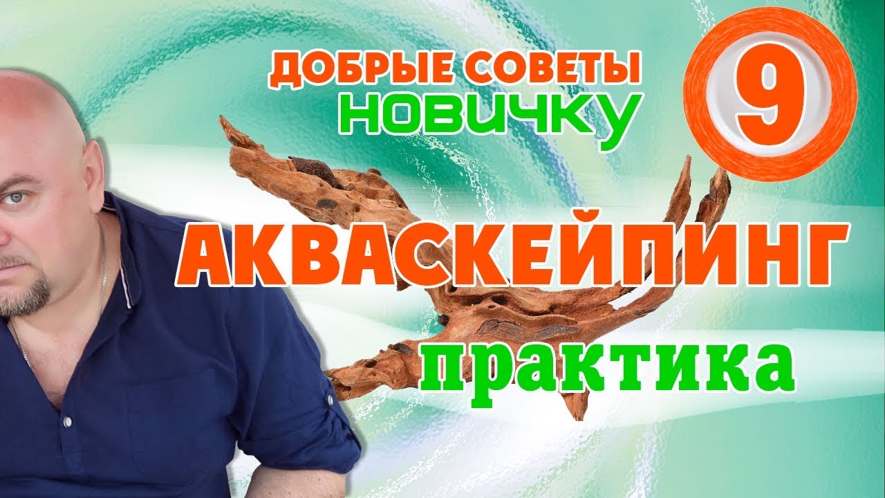 Аквариум. Акваскепинг. Практика. Добрые советы новичку.