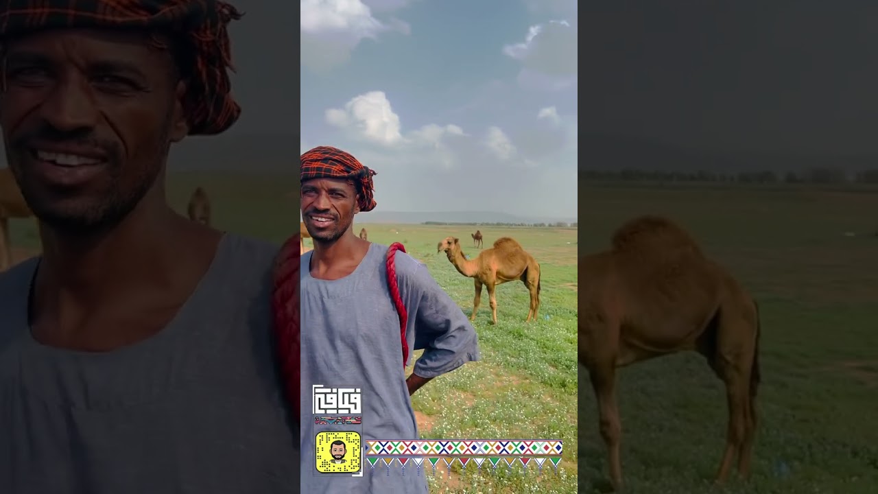 ربيع تهامة عسفان ٢٧-٦-١٤٤٤هـ