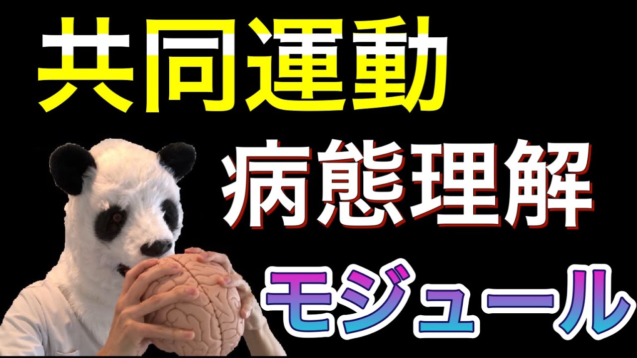 運動麻痺を理解する〜共同運動編〜