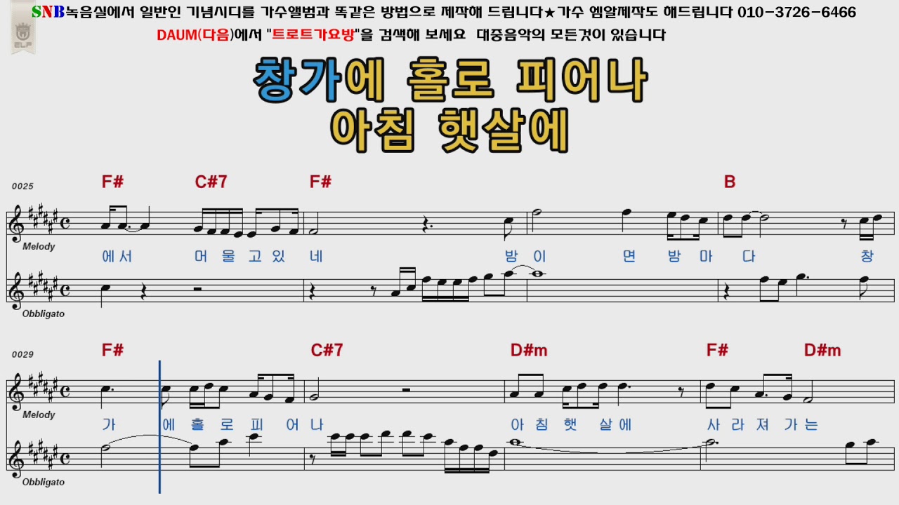 박정식 유리꽃