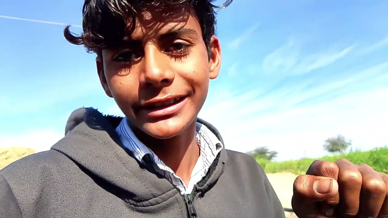 सरसों देखो कैसी हो गई