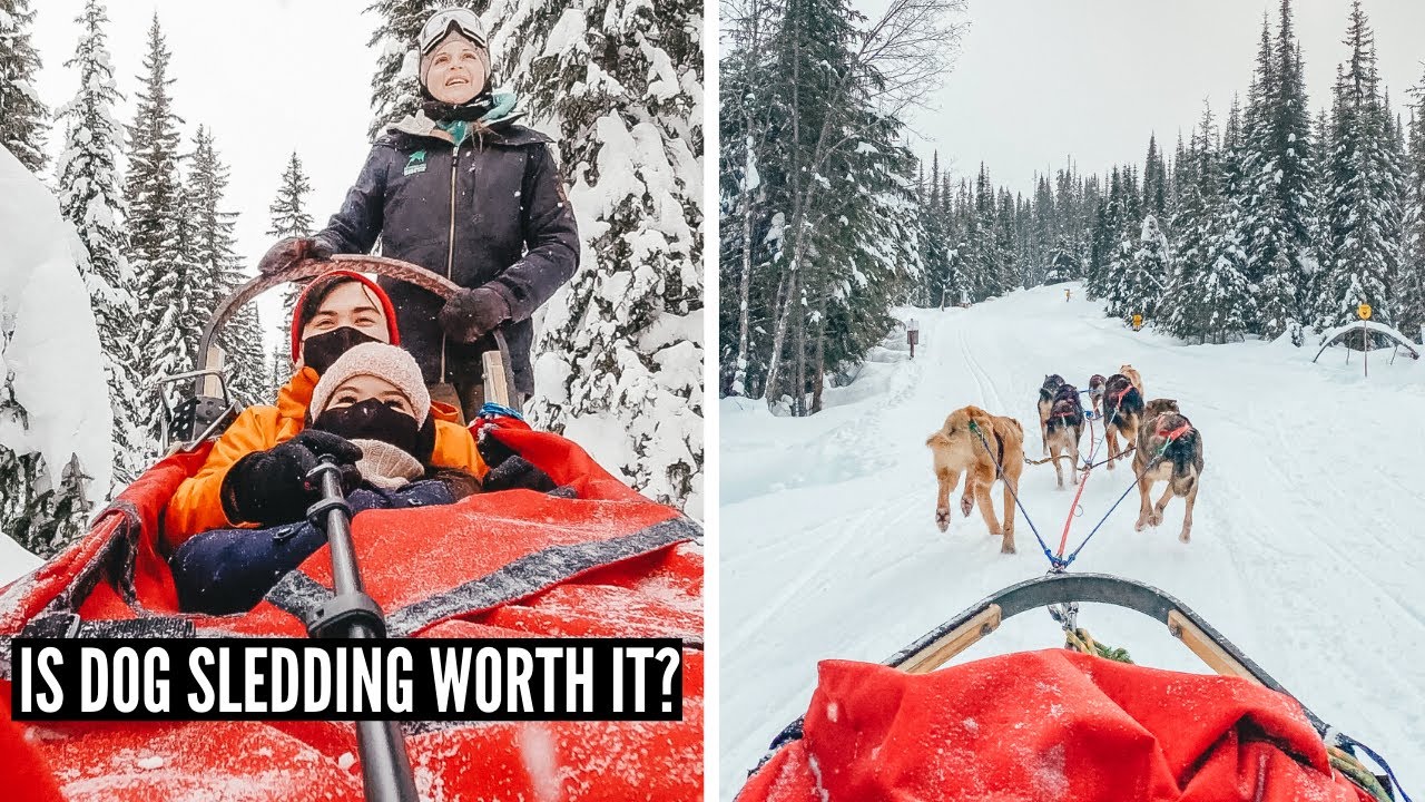 We Tried the BEST Canadian Winter Activity: Dog Sledding in Sun Peaks BC  // Nat and Max