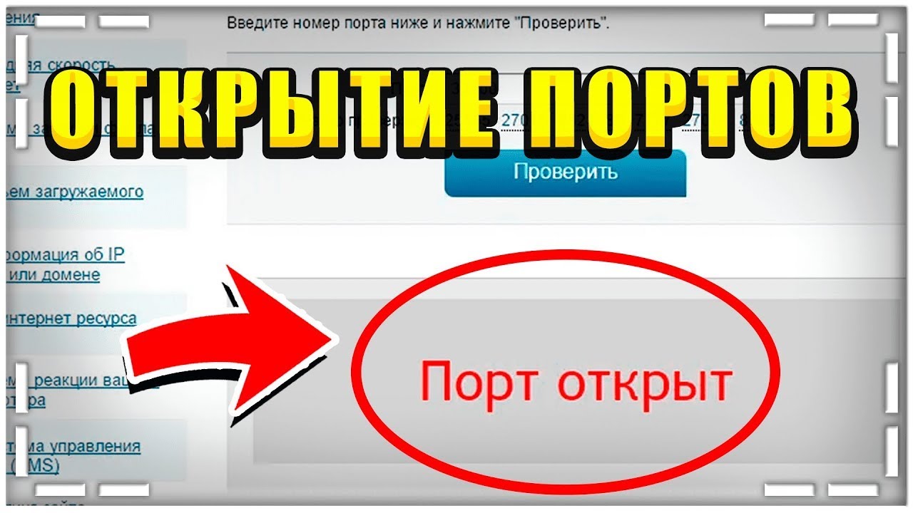 Как открыть порты для игры в майнкрафт 3 способа Ngrok, Playip.gg, RadminVPN плюсы и минусы.