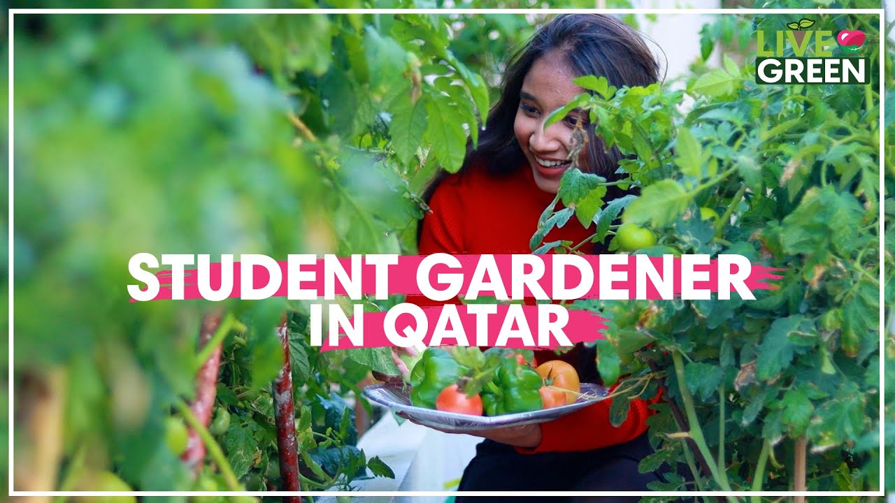 Find out more about Qatar’s student gardener | Live Green | Ep 32