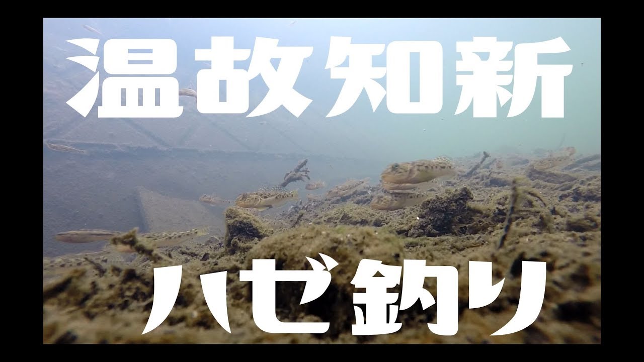 ハゼ釣り道具の旅＃１８【中古手バネ竿実釣編】