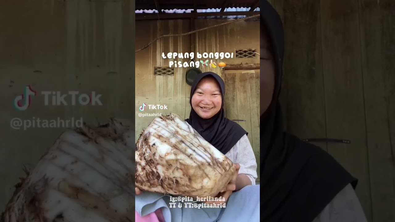 Kumpulan vidio tiktok pitahrd