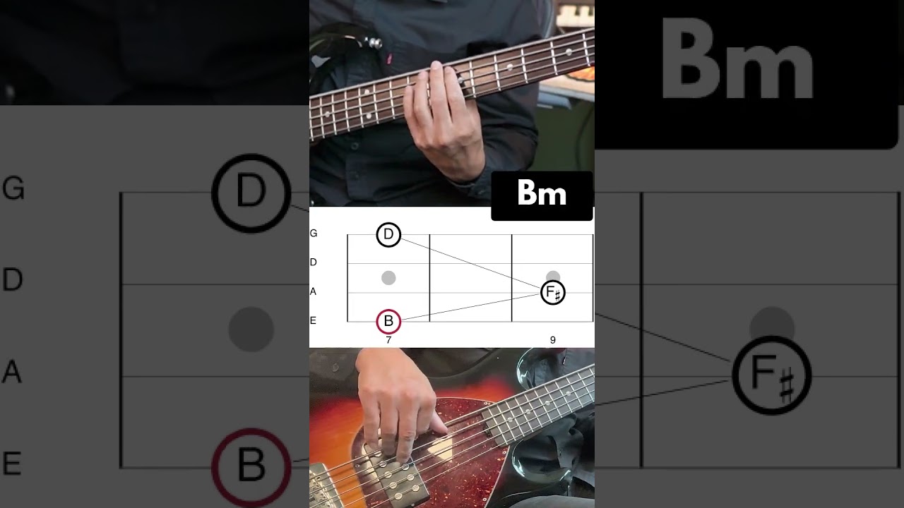 Bass Chord Harmony EXERCISE [Root 5th 10th]