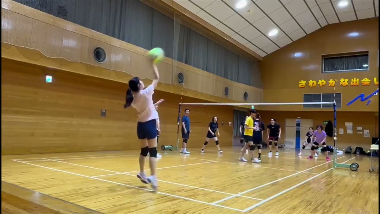 2026/02/21 日本气排球 highlights