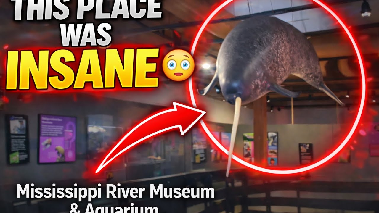 Fish Barn Fam At The National Mississipi River Museum & Aquarium!