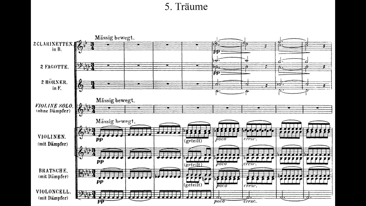 Richard Wagner - Träume {Arr. for Violin + Orchestra}