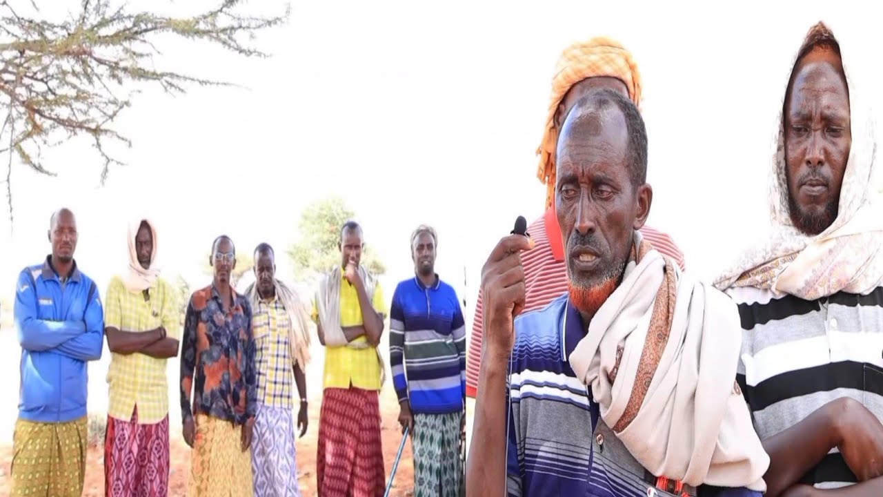 DAAWO: Beesha Cayr Habrgidir oo ka jawaabtay hanjabaadii Beesha saleebaan