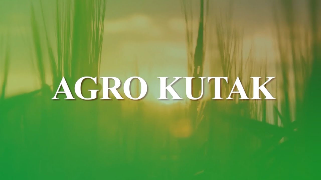 AGRO KUTAK: Izvoz šljive iz Gradačca