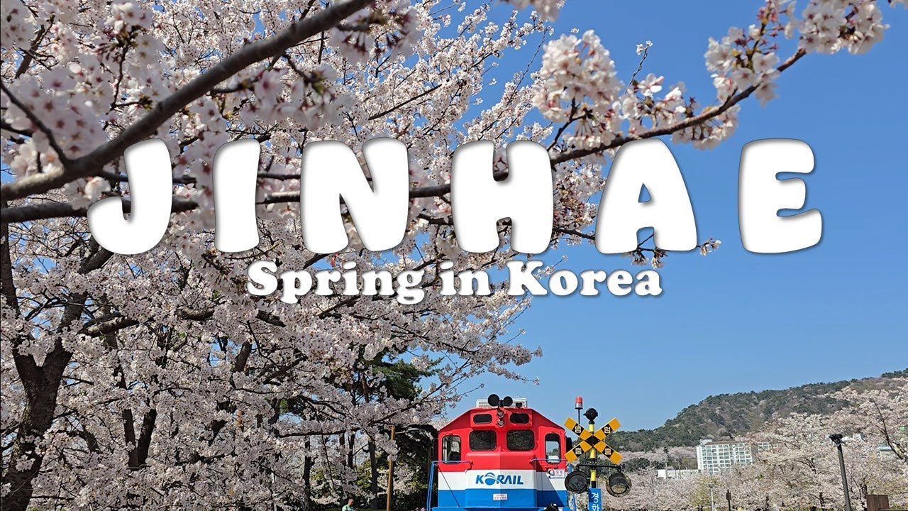 [Spring in Korea 2025] pt.2: Jinhae Cherry Blossoms 🌸 | hidden gems | ultimate DIY trip