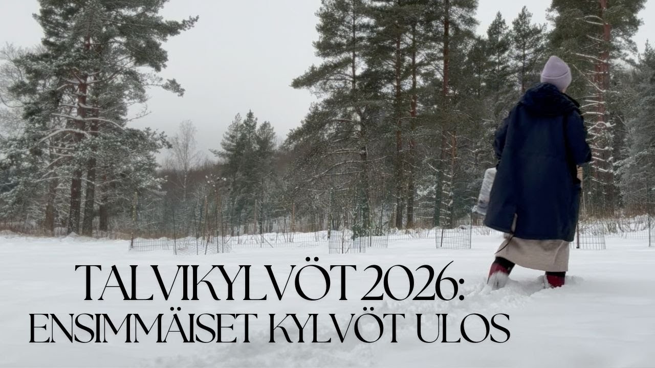 Talvikylvöt 2026, osa 1: Ensimmäiset  kylvöt  ulos - vesikanisterit