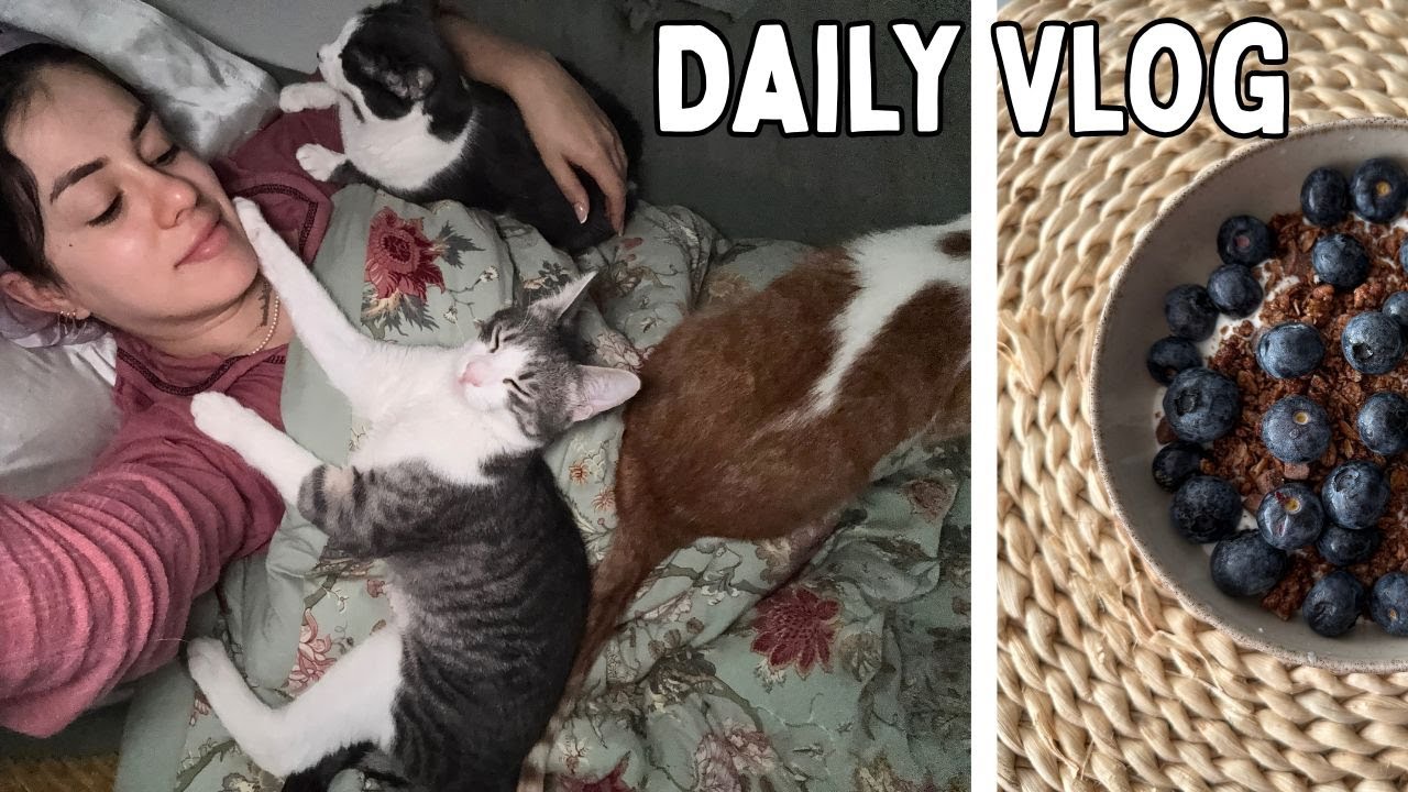 DailyVLOG ❤️ Ce fac în zilele cu menstruație, cumpărături Lidl și ce mai gătesc