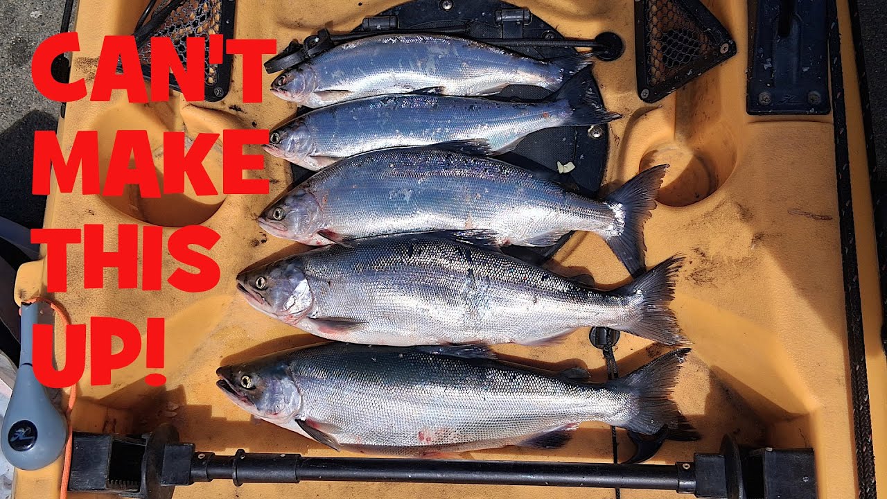 In Search Of Giant Kokanee In Whiskeytown Lake