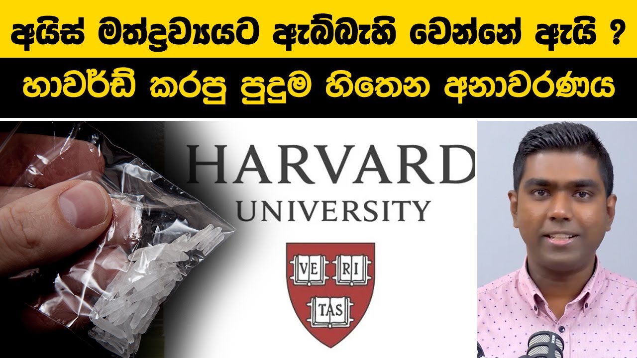 අයිස් මත්ද්‍රව්‍යයට ඇබ්බැහි වෙන්නේ ඇයි ? හාවර්ඩ් කරපු පුදුම හිතෙන අනාවරණය