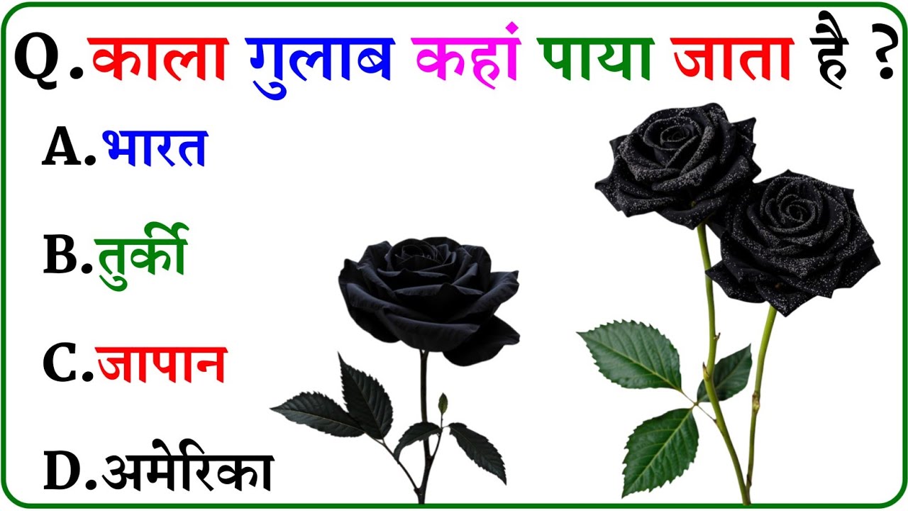 GK Question || GK In Hindi || GK Question and Answer || GK Quiz ||