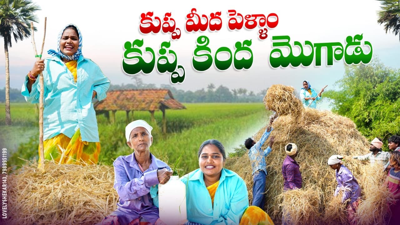 కుప్ప మీద పెళ్ళాం కుప్ప కింద మొగుడు||పెళ్ళాం ఈత కల్లుకు మరిగింది||village comedy|dhoom dhaam channel