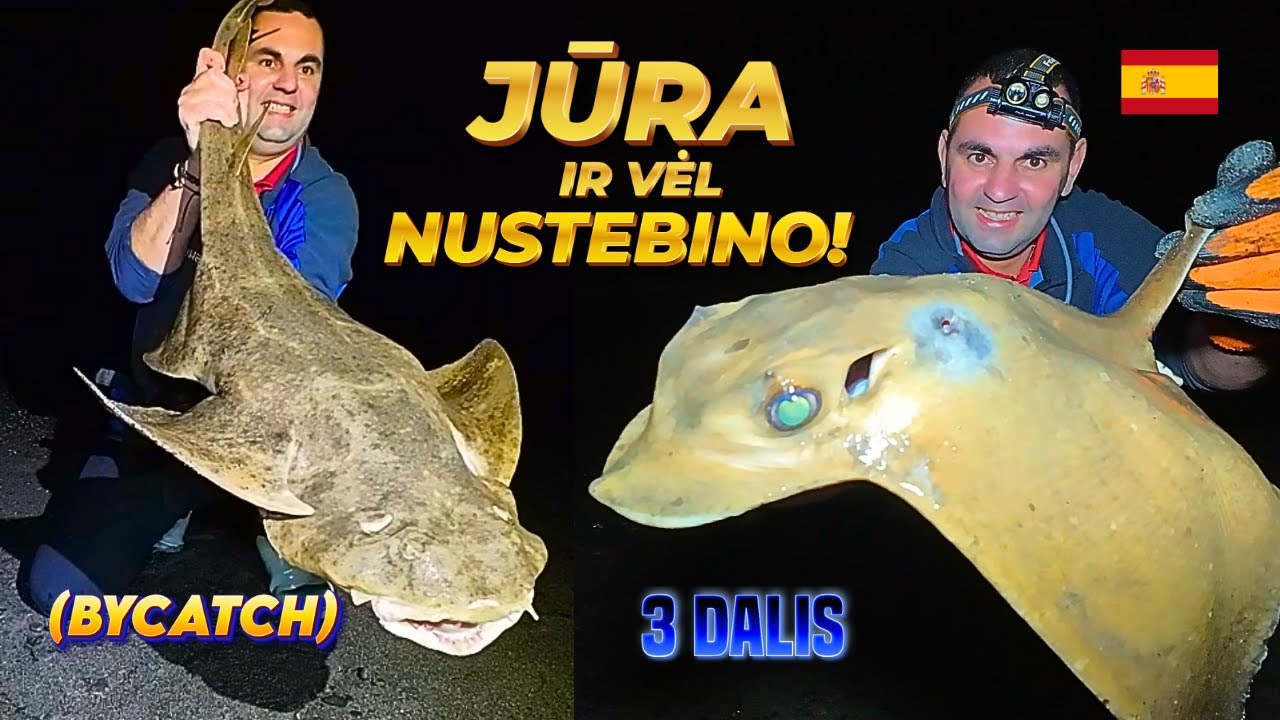 Į𝐒𝐏Ū𝐃𝐈𝐍𝐆𝐎𝐒 𝐊𝐀𝐍𝐀𝐑Ų Ž𝐔𝐕𝐘𝐒 😲 Ž𝐕𝐄𝐉𝐘𝐁𝐀 𝐉Ū𝐑𝐎𝐉𝐄 🎣 𝐅𝐔𝐄𝐑𝐓𝐄𝐕𝐄𝐍𝐓𝐔𝐑𝐀 3dalis 