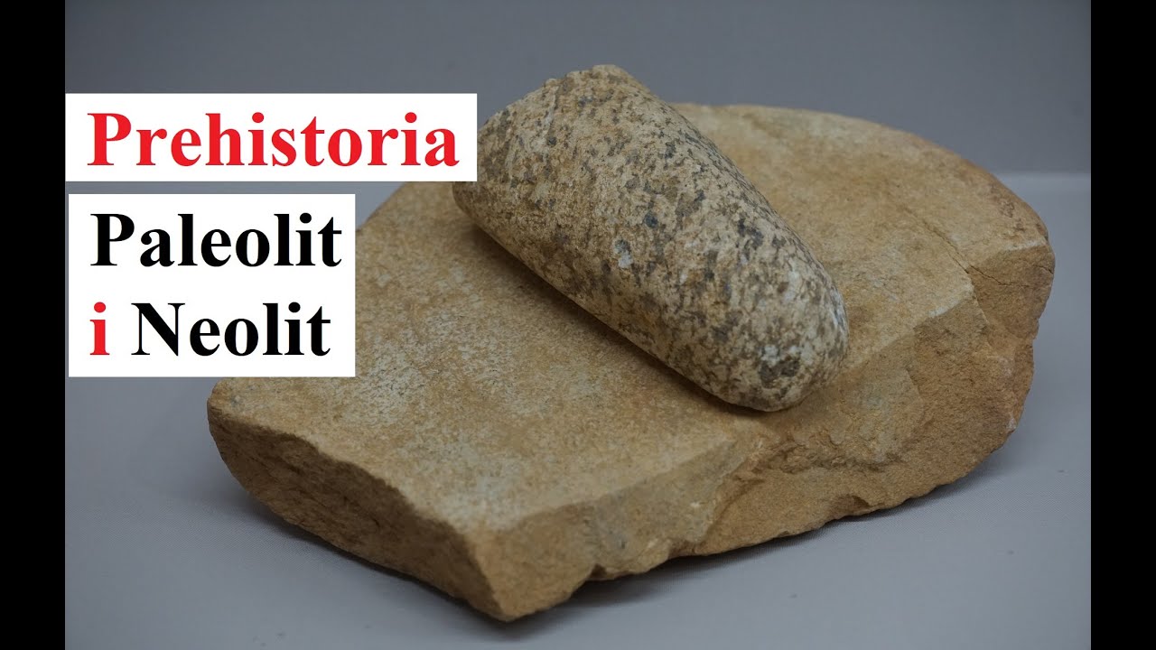 PREHISTORIA - Paleolit i Neolit - historia #1