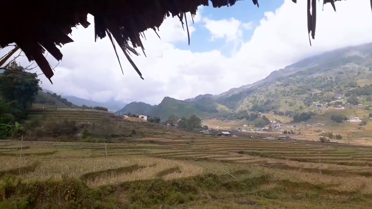 Vietnam tarace  garden